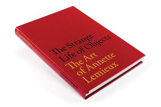 Red hardcover book titled "The Strange Life of Objects: The Art of Annette Lemieux" with yellow and black text, lying on a white surface.