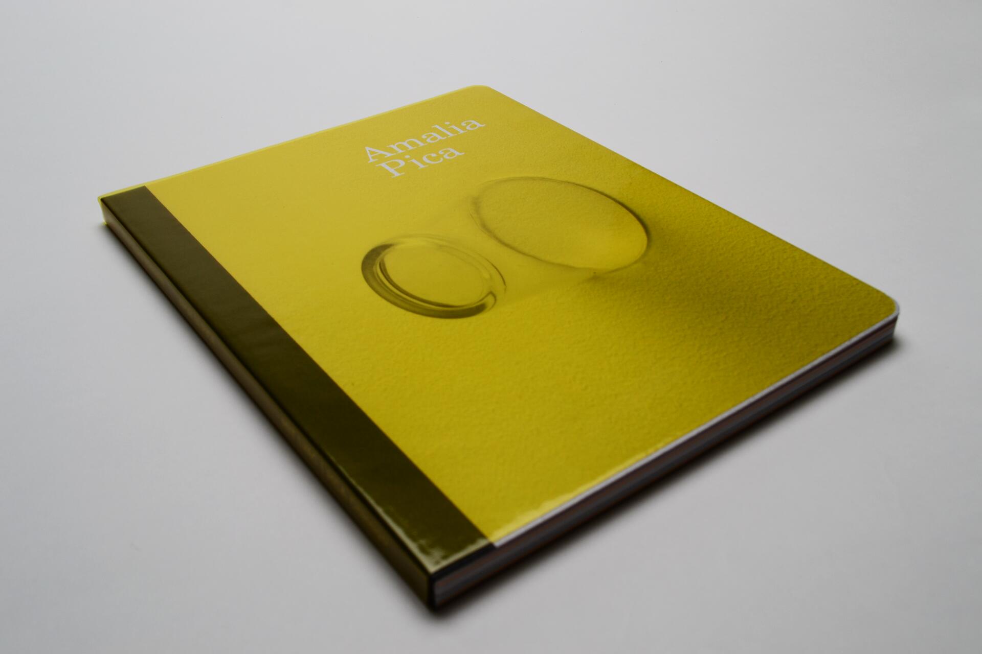 Yellow book cover with a black spine, featuring two overlapping ring shapes and text in white.