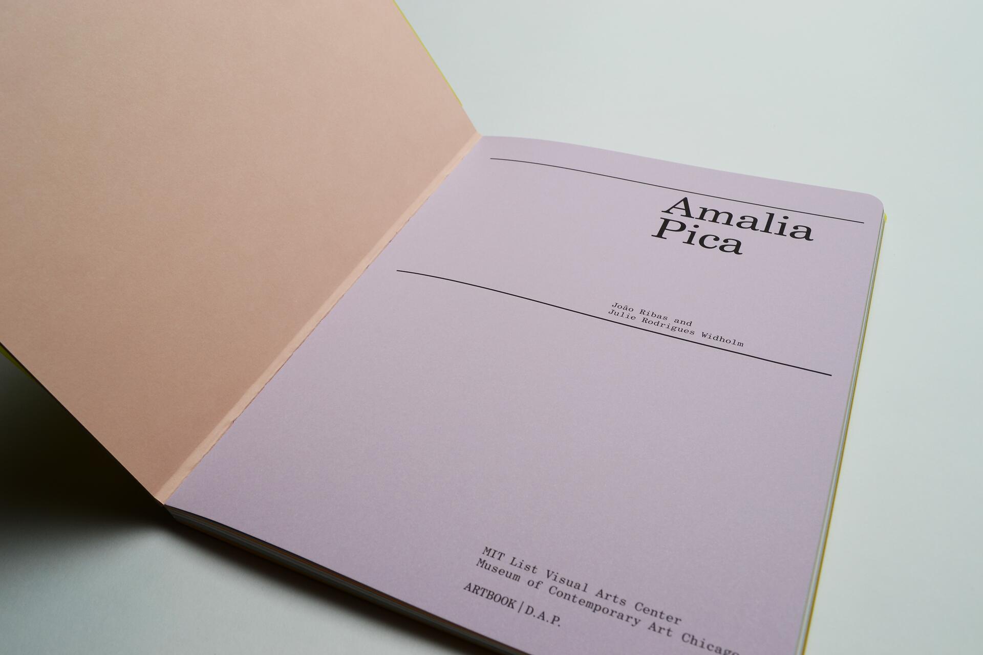 Open book with a lavender page featuring the name Amalia Pica and authors listed below, on a white surface.