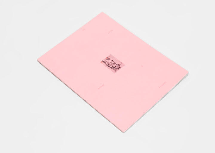 A pink book cover with a small, centered image of a floral design.