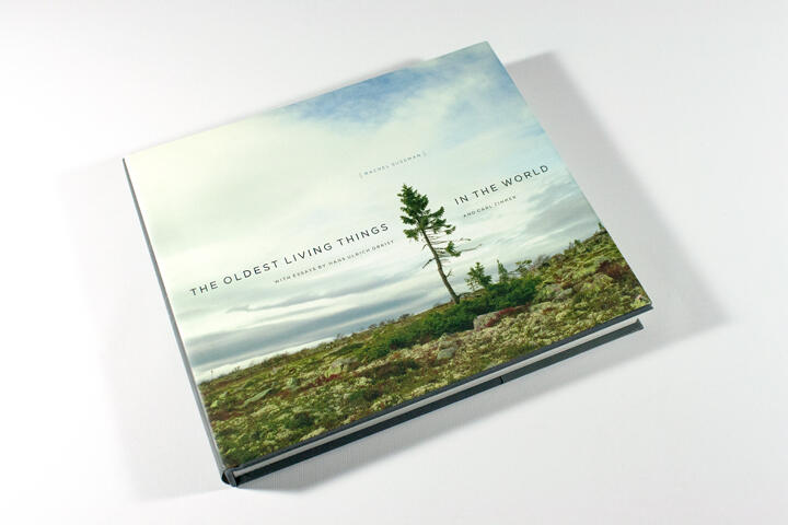Book titled "The Oldest Living Things in the World" by Rachel Sussman, featuring a serene landscape of a solitary tree on a grassy terrain under a cloudy sky.