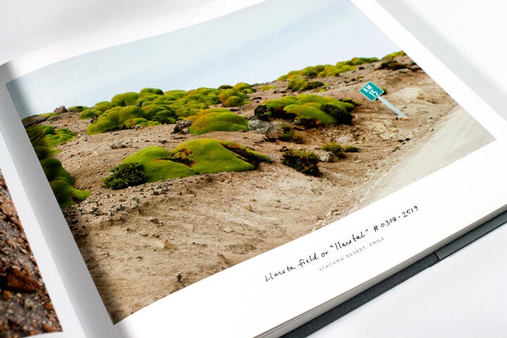A photograph in a book shows a desert landscape with patches of bright green moss on rocky terrain, under a clear blue sky. A small road sign is visible on the right.