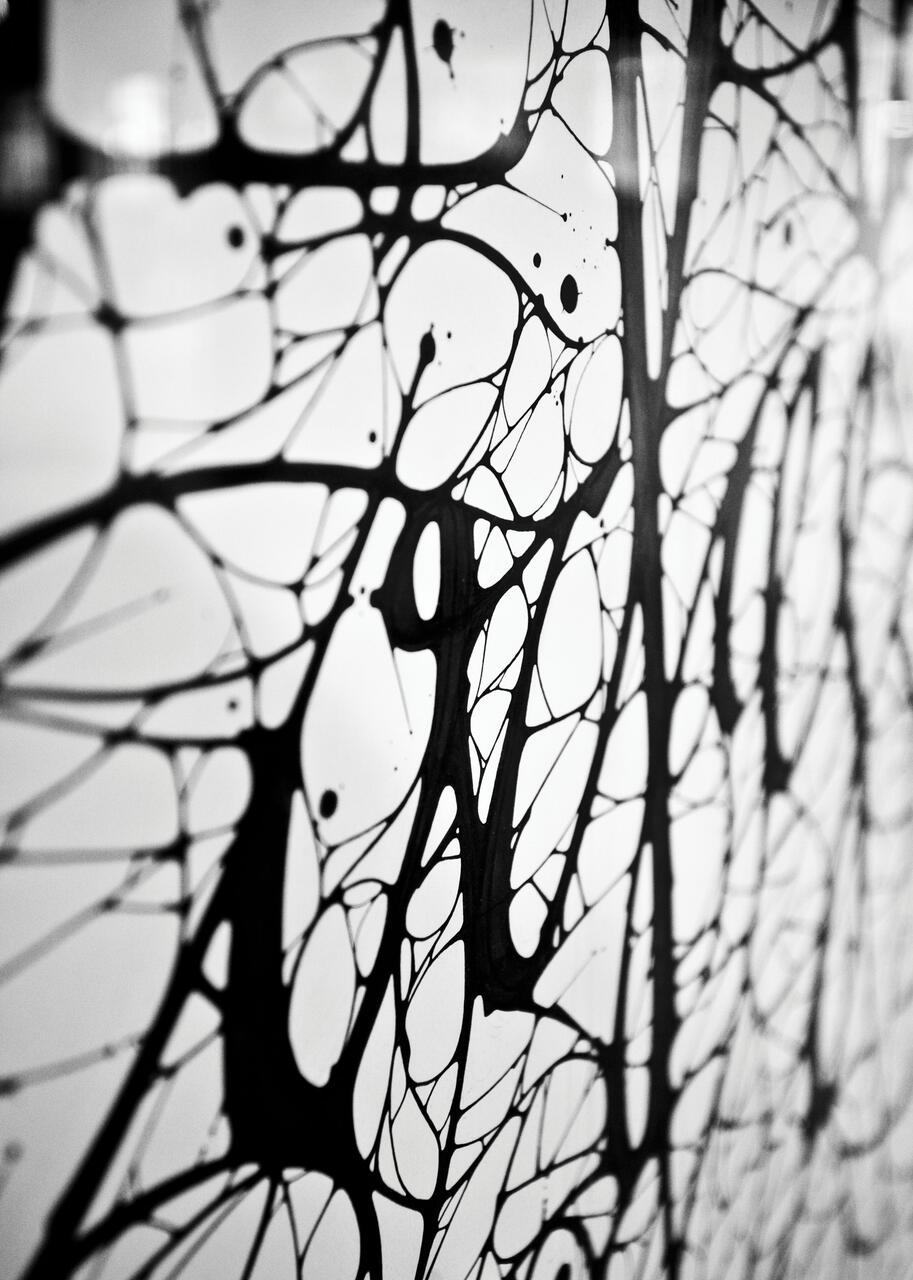 Abstract black ink splatters creating a web-like pattern on a white background.