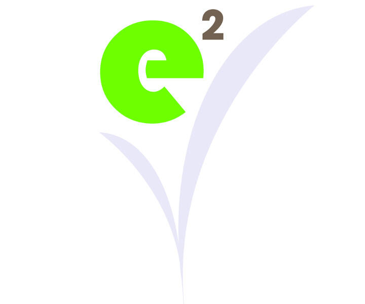 Green lowercase "e" with a superscript "2" above, resembling a logo, with a stylized light gray leaf design behind it.