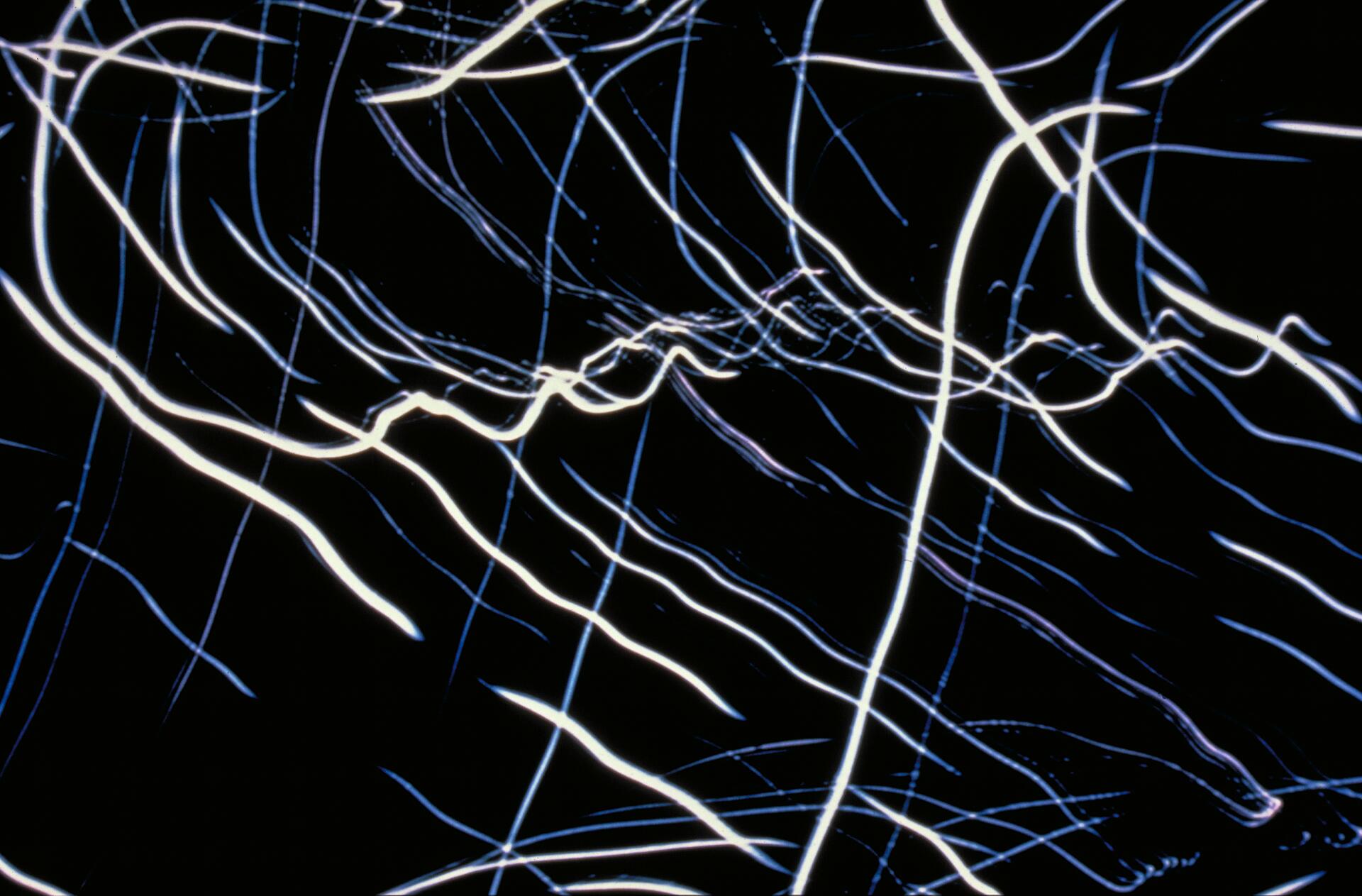 Streaks of white and blue light create abstract patterns on a black background.