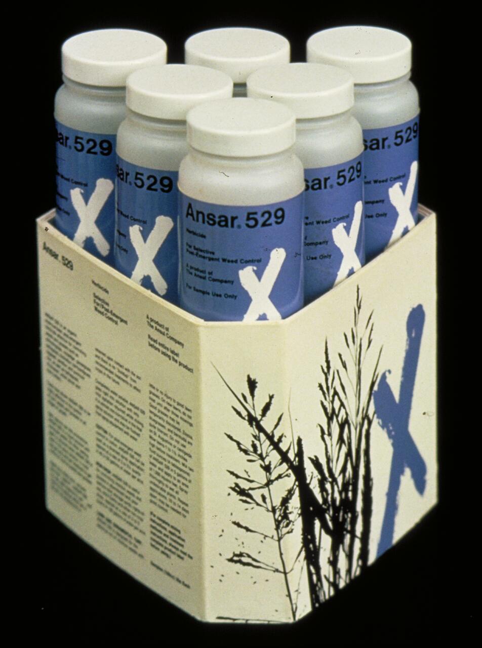 Six bottles with blue labels marked "Ansar.529" in a cardboard tray featuring plant silhouettes and blue crosses.