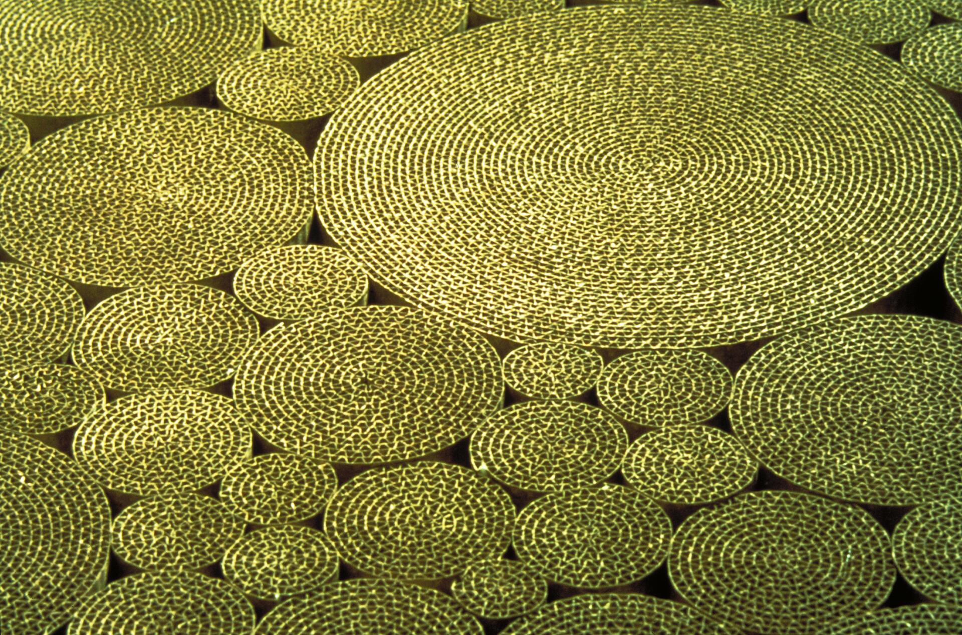 Golden circular patterns of various sizes on a dark background, creating a textured and intricate design.