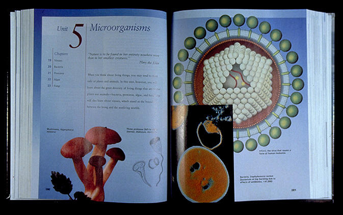 Open textbook on microorganisms, featuring an illustration of a virus structure on the right page. Left page lists chapters like viruses, protists, and fungi. Includes images of mushrooms and petri dish cultures.