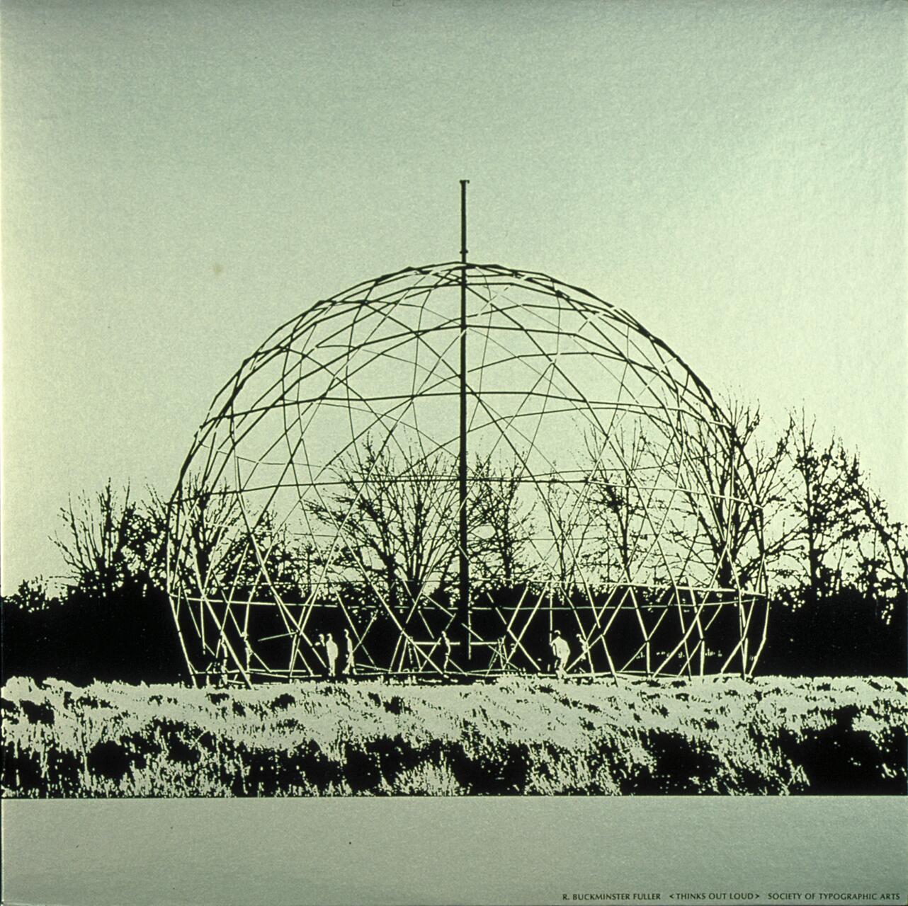 Geodesic dome structure in an open setting with trees and grass, silhouetted against the sky.