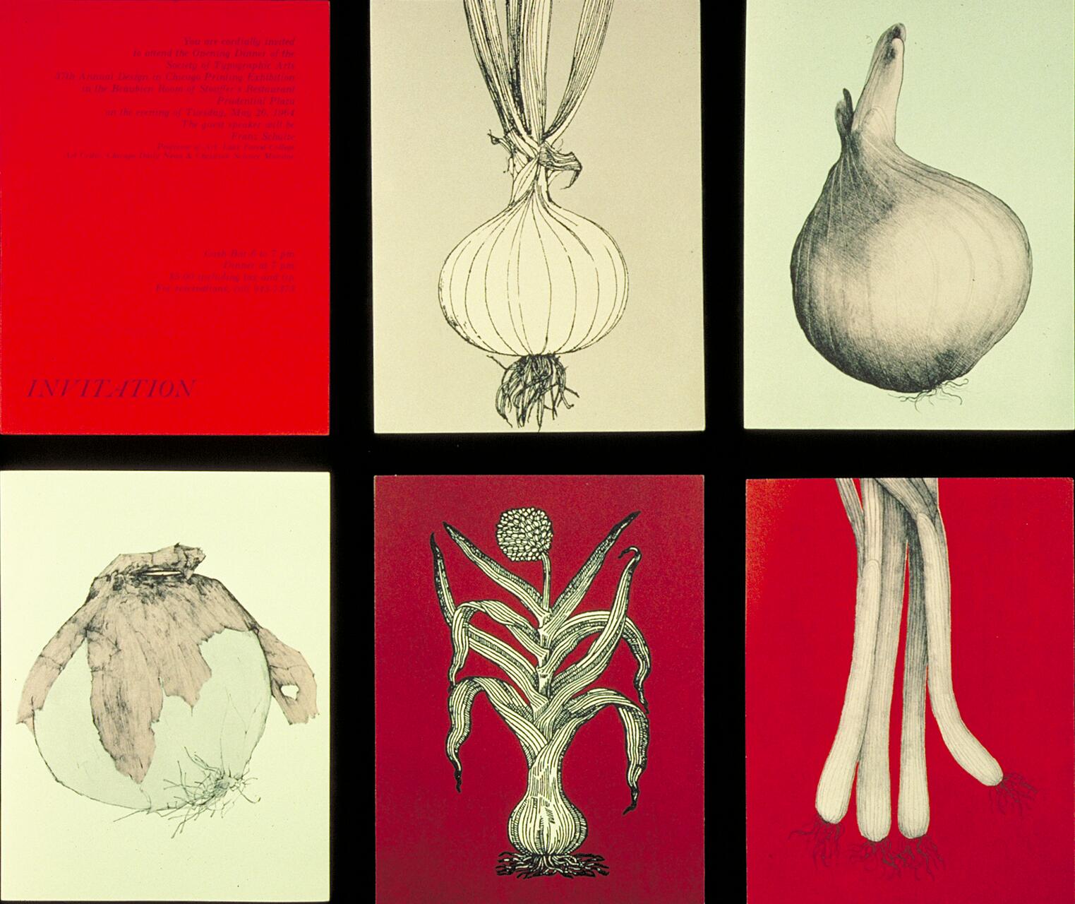 Six vintage-style botanical illustrations featuring onions and leeks, each on separate cards. The top left card is red with small text. The other cards display detailed sketches of various vegetables on cream and red backgrounds.