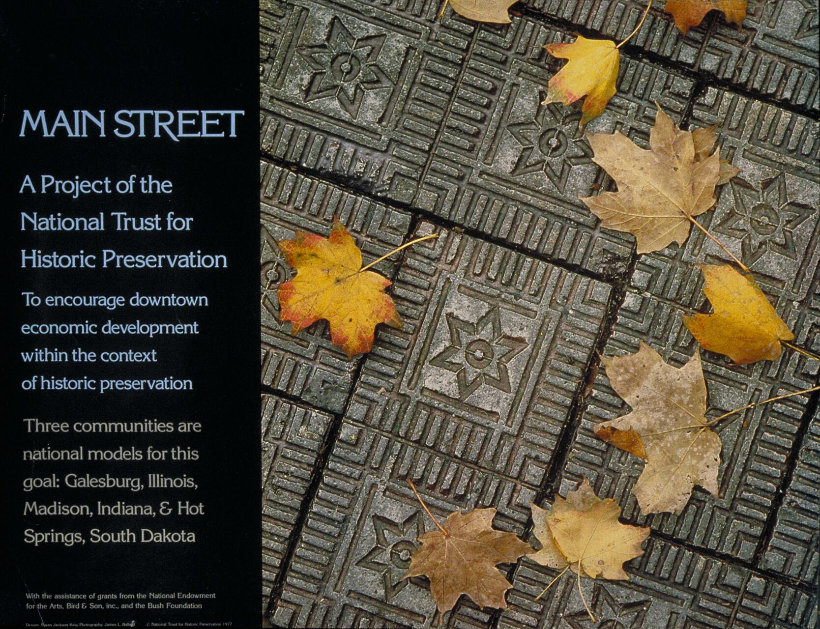 Text promoting the Main Street Project, National Trust for Historic Preservation, with encouragement for downtown economic development. Background with autumn leaves scattered on patterned stone pavement.