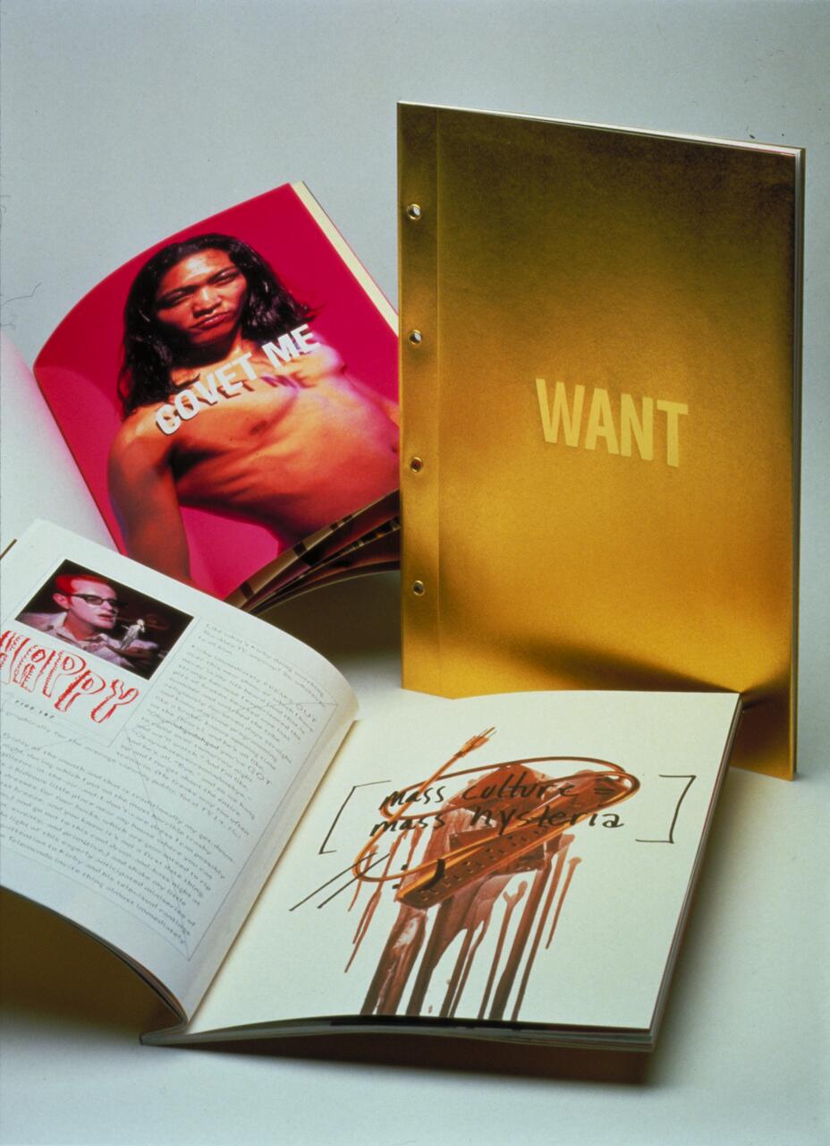 A gold-colored binder labeled "WANT" stands upright beside two open magazines. One magazine features a shirtless individual with long hair against a pink background, while the other has artistic text and images, including writing and splattered paint.