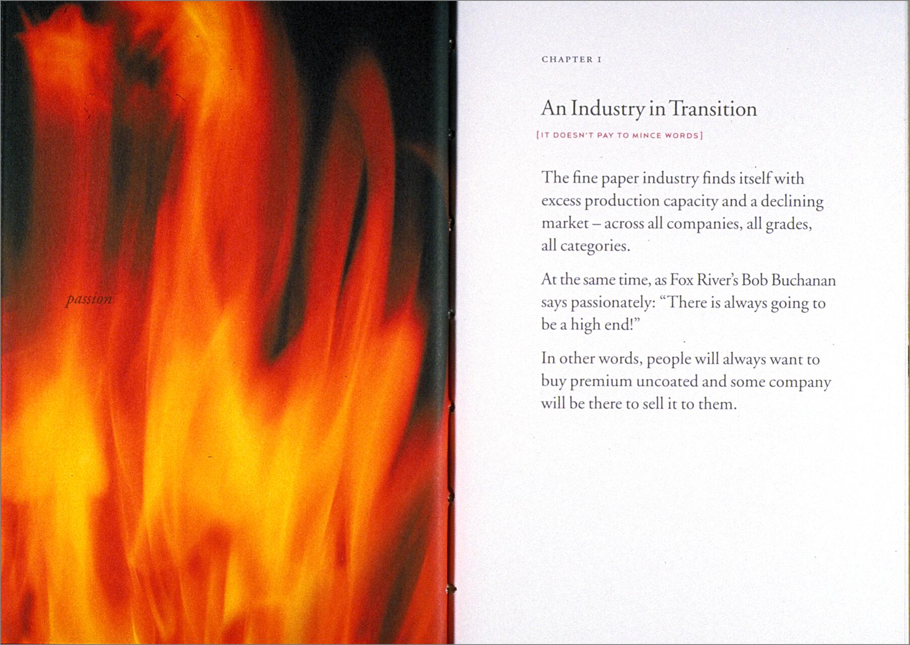 Flames of red and orange fill the left page, with the word "passion" overlaid. The right page displays text about the paper industry's challenges and opportunities.