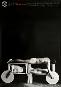 17D-159_StasysEidrigevicius