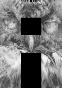 17C-081A_Malchior Imoden-FACE_A