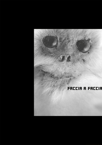 17C-081B_Malchior Imoden-FACE_C