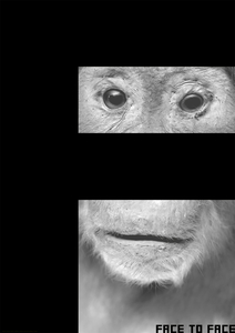 17C-081D_Malchior Imoden-FACE_F