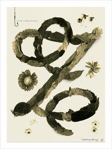 18I-28_Z is for Franz Altschuler_Adé Hogue