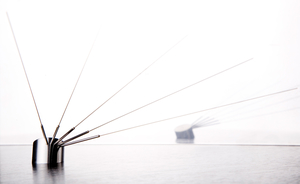 16C-149_Peacock - Miniature removable skewer set_Martin Kastner