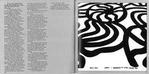 19E-22_Crate & Barrel: Marimekko Catalog Spread_Tom Shortlidge