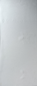 05A-03_Brilliant Traces_Phillip Zelnar