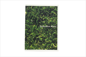 05A-47A_Suburban Maul_Rick Valicenti