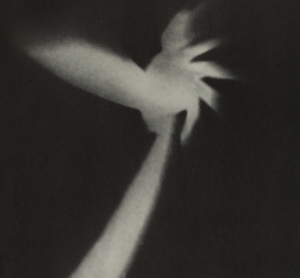 21A-05_Dissent Illusion - Short 16mm Film_Millie Goldsholl