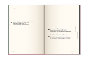 21B-04C_American Gun: A Poem by 100 Chicagoans_Natalie Mills Bontumasi