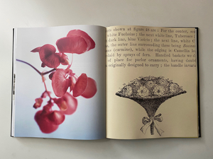 21A-17b_Ball Horticultural Company: All the Best and Nothing Else_Maria Grillo