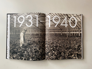 21A-17c_Ball Horticultural Company: All the Best and Nothing Else_Maria Grillo