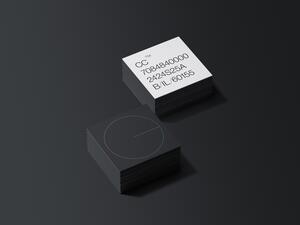 22B-38a_Classic Color Branding_Carlos Segura