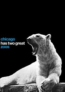 A black and white image of a polar bear roaring, sitting on a rock.