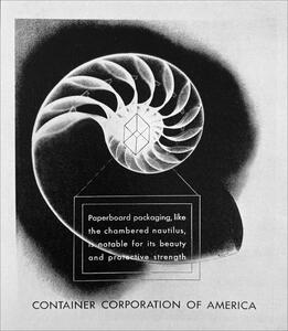 23A-13_Display Ad_Gyorgy Kepes