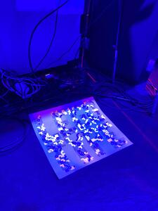 23B-13b_LEGO Type project_Pedro Neves